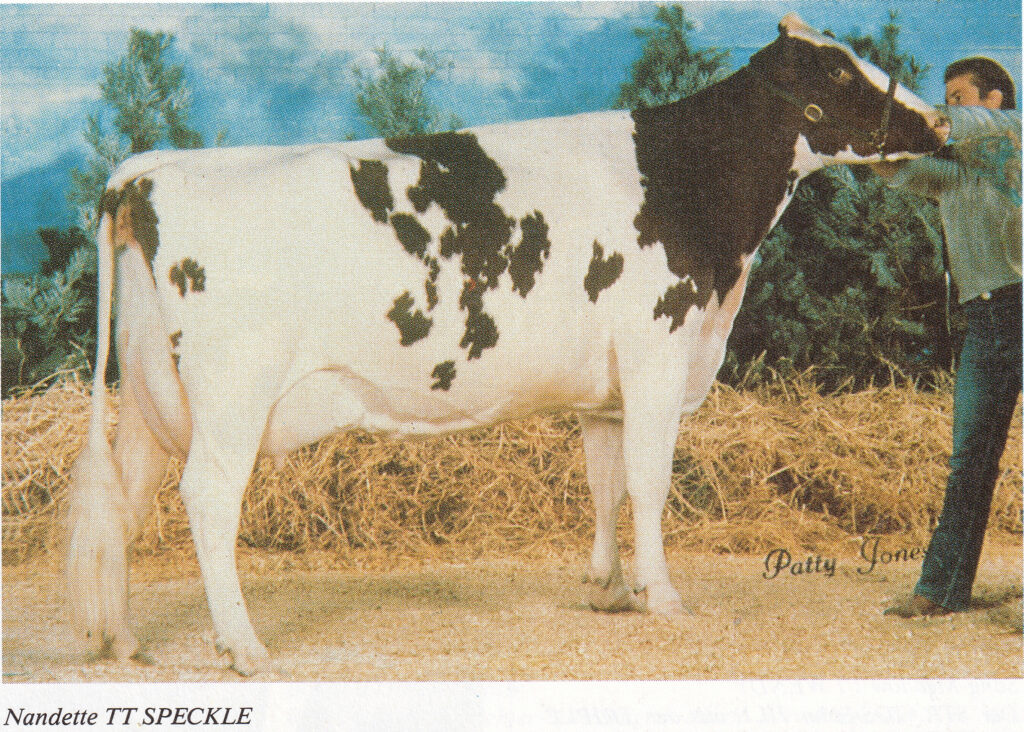 Nandette TT SPECKLE